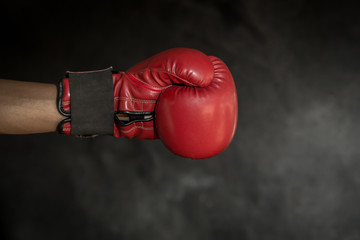 Fist Boxing Gloves