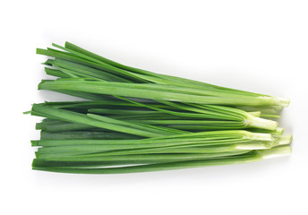Garlic chives isolated on white background