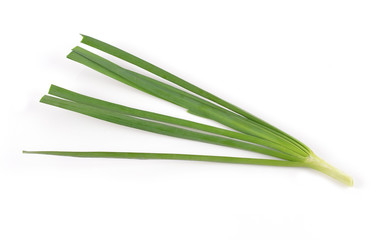 Fototapeta premium Garlic chives isolated on white background