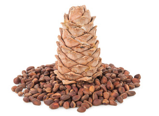 Cedar cone