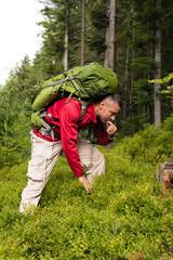 Hiker eating blueberries