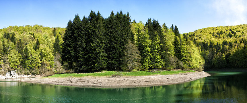 Spring Selva de Irati  jungle in Navarra Pyrenees of Spain