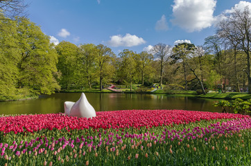 flowerbed in Keukenhof