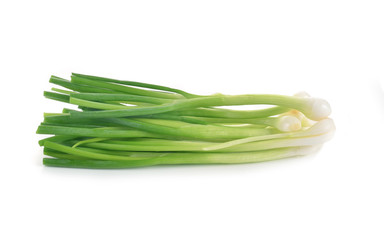 Green Onion on white background