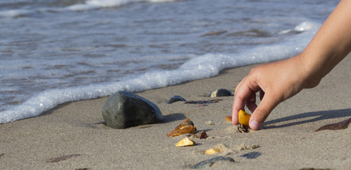 Some pieces of amber found on the Baltic seashore