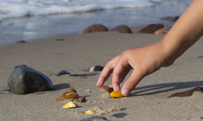 Some pieces of amber found on the Baltic seashore