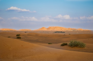 Fototapeta na wymiar Desert in Dubai, United Arab Emirates