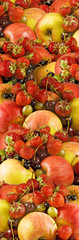 image of many ripe fruits close-up