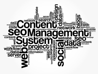 CMS Content Management System word cloud, business concept
