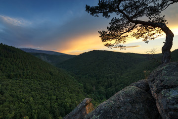 Ausblick vom Ilsestein zum Brocken bei Sonnenuntergang