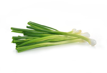 Green Onion on white background