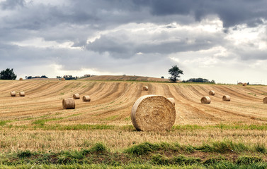 hay bales in rural scenic landscape
