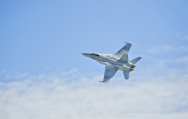 Fototapeta na wymiar FA18C Hornet