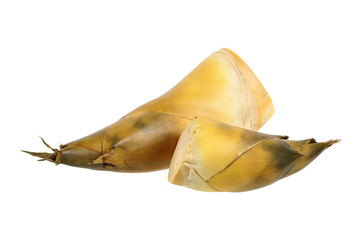 bamboo shoot isolated on white