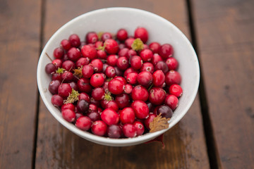 cranberry autumn leaves
