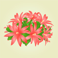 Easter cactus with flowers tropical succulent vector illustration