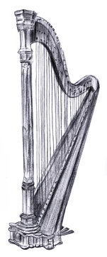 Vintage harp, hand drawn in pencil on white background