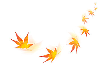 紅葉　秋　イメージ　イラスト