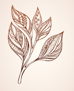 brown leaves doodle style on beige clip art preview