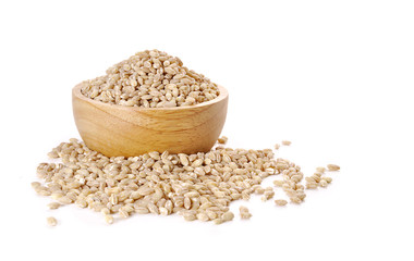 Fototapeta premium barley pearl background