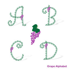 Grape alphabet. Letters A, B, C, D.