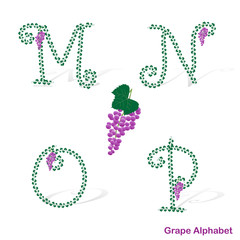 Grape alphabet. Letters M, N, O, P.