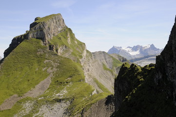 Druesberg und Glärnisch vom Forstberg
