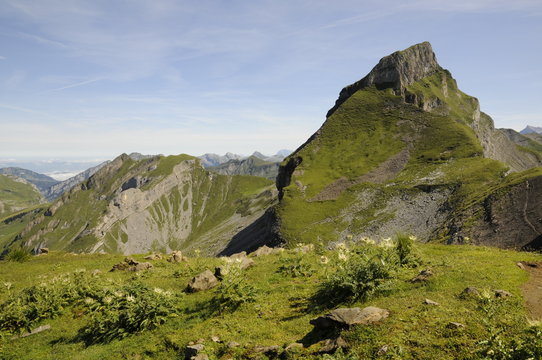 Druesberg