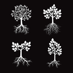 White Trees and Roots. Vector Illustration.