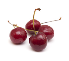 dark red cherry isolated on white