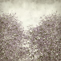 Obraz premium textured old paper background