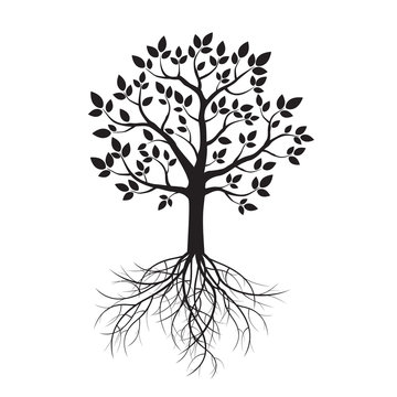 Black Tree and Roots. Vector Illustration.