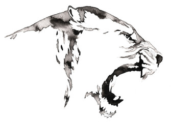 black and white monochrome painting with water and ink draw lion illustration