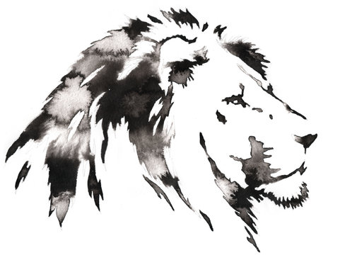 black and white monochrome painting with water and ink draw lion illustration