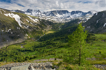 Beautiful summer landscape, Altai mountains Russia.