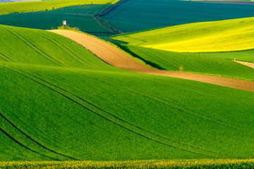 Wavy meadows spring landscape in South Moravia, Czech Republic