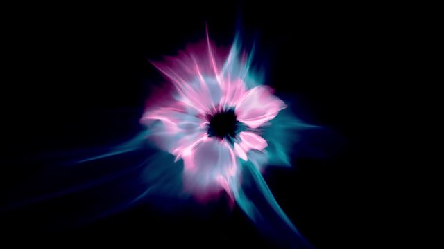 Abstract flower like animation. Blue, purple and pink evolving flower animation. Perfect loop.
