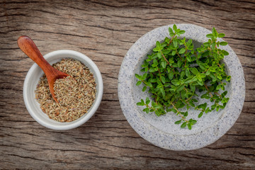 Closeup lemon thyme leaves from the herb garden in white mortar