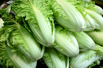 Fototapeta premium PILE OF WHITE LETTUCE Chinese white lettuce are piled on the wooden big basket that’s have been found popular in the south east asian market.