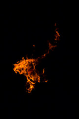 Fire flames on a black background