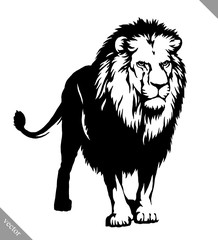 Obraz premium black and white linear paint draw lion vector illustration