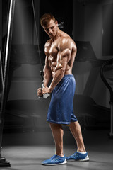 Muscular man working out in gym doing exercises at triceps, strong male naked torso abs