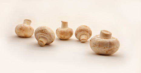 Шампиньоны.