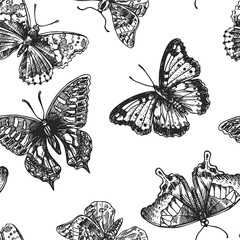 hand drawn butterflies
