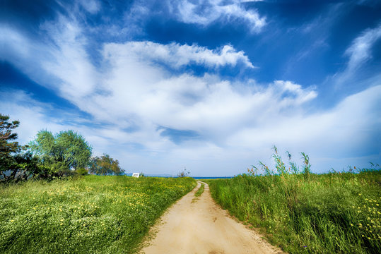 Summer scene with field, clouds and sea, Halkidiki, Greece