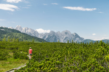 Fototapeta na wymiar Girl in red shirt hiking in a green pine forest