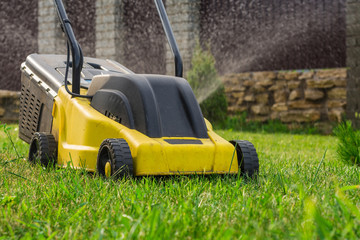 grass-cutter is on the lawn
