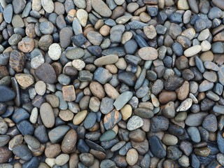 abstract background with dry round reeble stones
