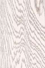 White Painted Oak Wood Texture