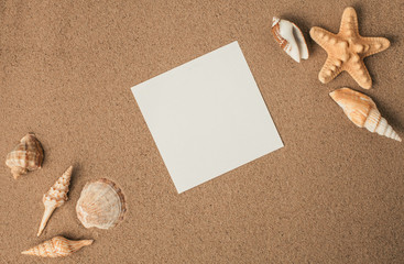 Fototapeta na wymiar Starfish and shells with sand as background. Sand texture
